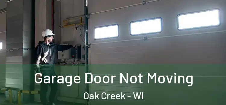  Garage Door Not Moving Oak Creek - WI